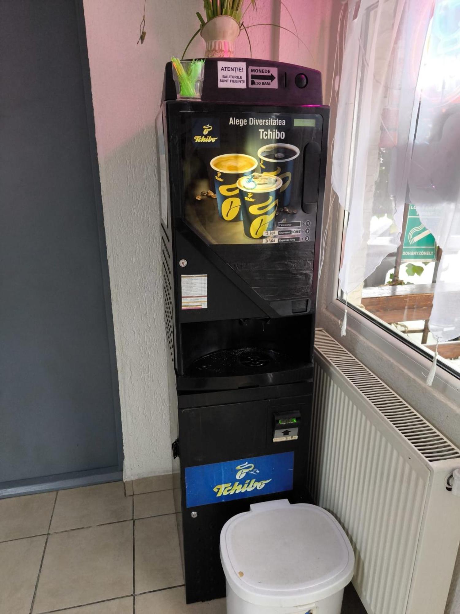 Pensiunea Vila Chesa Corunca Luaran gambar